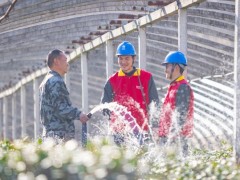 国网河南电力：在为民服务中传承焦裕禄精神